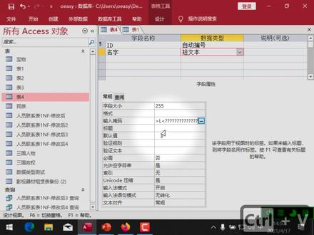 Access20 输入掩码和验证规则深入 区别与联系 input mask