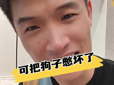 你见过会笑话主人的狗子吗#金毛 #狗子成精了 #搞笑 #看一遍笑一遍 #Mr.阿在