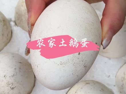 据说每一个孕妈妈都逃不过这个大鹅蛋,尤其是开春的鹅蛋,营养丰富,常吃就特别好。#鹅蛋#土鹅蛋#优质农产品。