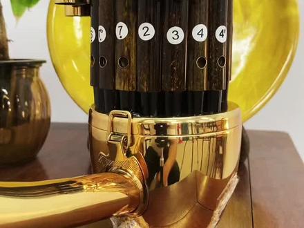 初学指法教程,大家收藏学习。#好物推荐🔥 #源头实力厂家 #弘扬国乐 #笙 #抖音匠心守护人