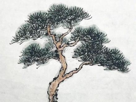 松树画法详细教程#国画 #国画教学 #零基础学国画#山水画 #国画松树