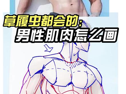 男性肌肉怎么画 #绘画教程 #绘画 #画画 #二次元 #美术生