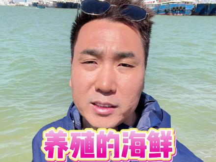 人工养殖的海鲜,到底能不能放心吃?#海鲜 #渔民生活实拍 #海鲜原产地 #美食 #南美白对虾