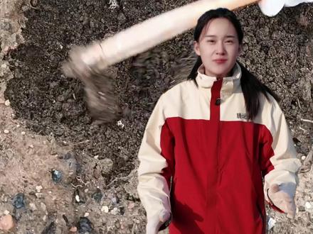 辣椒苗移栽 方法全过程#辣椒#种子#三农#种菜小技巧