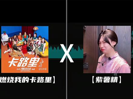 单曲《燃烧我的紫薯精》|感谢紫薯精的赞助的音频哈哈哈~ #周小闹 #紫薯精 #二创