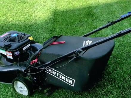 第一集,常见的暖季型草坪草有哪些!#狗牙根#结缕草#地毯草#野牛草#百喜草#草坪种子#护坡草籽