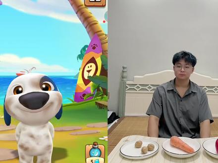 我的汉克狗:哇哦这些都是给吃的吗?