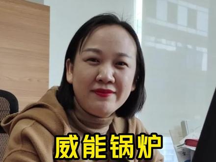 德国威能燃气壁挂炉进口与国产到底有什么区别?来了解下#壁挂炉供暖 #地暖 #暖气片 #燃气壁挂炉 #德国威能