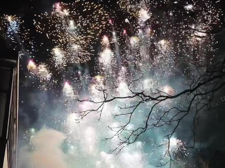 是790个水母的快乐呀~
#新年烟花 #水母烟花 #马年快乐 #新的一年如烟花般灿烂