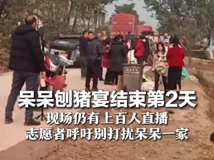 呆呆刨猪宴结束第2天 现场仍有上百人直播 邻居摆摊卖方便面,收如厕费 志愿者呼吁别打扰呆呆一家