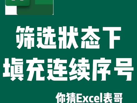 #excel#wps表格筛选状态下如何填充连续序号#萌知计划#科普知识#职场#干货@抖音小助手@DOU+小助手