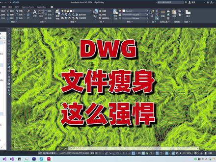 DWG瘦身用绝招,歪打正着 #CAD #CAD插件 #DWG瘦身 #简化线 #测绘 #地理信息