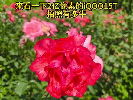 来看看2亿像素的iQOO15T拍照能有多清晰 #iQOO15T旗舰性能直上青云 #vivo #数码科技 #上新了街头发布会 #手机摄影