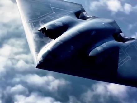 8米宽的‘海洋飞毯’,大脑比你想象的更聪明 #自然奇境科普季 #动物科普 #双吻蝠鲼 #动物智商天花板 #生物多样性