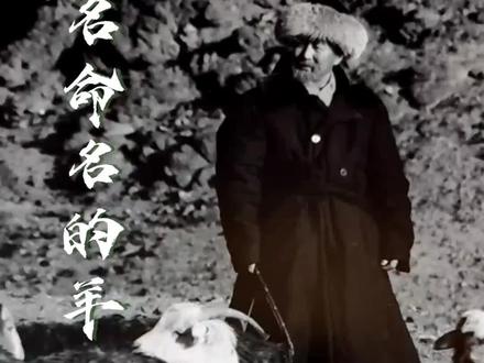 #巴什拜羊·新疆唯一以人名命名的羊