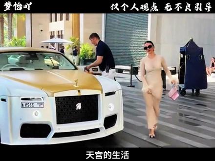 为什么网上老斑鸠的视频很多?#省流侠 #冷知识 #有趣的知识又增长了