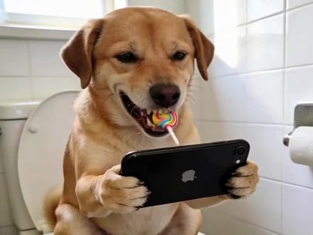 发现豆包新功能,这也太好玩了,#豆包能生成有声视频了 #豆包ai ,#豆包P图已经nextlevel了 #豆包AI视频会说话了 #萌宠 萌宠搞笑日常 狗狗搞笑日常 狗狗 萌宠狗狗 ai 宠物萌宠 ai创作 内容过于真实 豆包p图4.0 ai创作