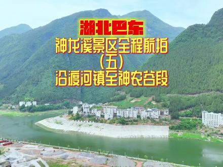 湖北巴东神龙溪景区全程航拍之五沿渡河镇至两河口神农谷段→
神农溪又叫神龙溪,原名“沿渡河”,传说因神农氏尝百草后顺溪入江得名。1987年,旅游专家考察后正式定名“神农溪”,并列为长江三峡重点开发景区,尹相杰的《纤夫的爱》在此取景。神农溪发源于“华中第一峰”神农架南坡,全长60公里,自北向南穿行于鄂西深山峡谷,经沿渡河镇至县城巫峡口景区,最终汇入长江。其水源来自神农泉,该泉位于海拔1180米的鸡公山腹部,常年流量稳定,保障了溪流四季可漂流。溪流沿途形成龙昌峡、鹦鹉峡、绵竹峡、神农峡四大峡谷,以雄、秀、险、奇著称。神农溪原始森林中保存了大量珍稀动植物,如珙桐(“鸽子树”)、白雉、白金丝猴等,其中珙桐在第四纪冰川后仅存于此,被誉为“中国鸽子花”。溪流水质清澈,溪底五色石遍布,形成独特自然景观。
神农溪是巴人的故乡,远古时期巴人祖先巴务相率部落沿溪迁徙,最终建立巴国。溪流两岸的古栈道遗址和悬棺群是巴人智慧的象征。悬棺葬俗形成于春秋战国末期,距今已有四千多年历史,土家族认为高葬为“至孝”,但此习俗已失传,仅存跳丧舞等遗风。
峡壁上的岩棺群(如龙昌峡的七座悬棺)至今未解其安放之谜。唐代文献记载巴人“于临江高山半肋凿室以葬之”,但具体方法仍为科学难题,成为神农溪的核心人文谜题。
神农溪因滩多水浅,古代依赖“豌豆角”木舟运输,纤夫文化由此诞生。船工需涉水拉纤,号子成为协调劳动的工具,形成“拖扛”“拉纤”等号子类型,被列入国家级非物质文化遗产
#湖北巴东 #旅行推荐官 #无人机航拍 #神农溪 #夏日奇旅季
