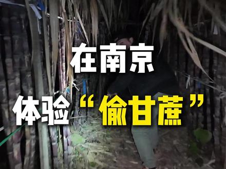 在南京也能体验到“偷甘蔗”游戏 刺激又好玩
#南京 #偷甘蔗