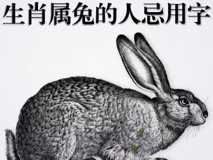 姓名学 生肖取名宜忌字#易经#国学#经典#原创#知识#智慧#姓名#起名#传统#文化#生肖#宜忌
