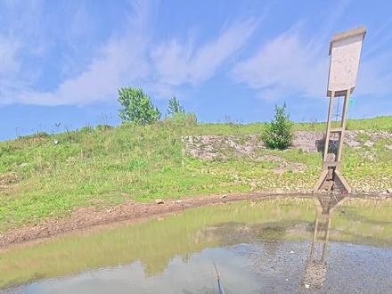 继续探索荆山河 还好没有打龟#钓鱼 #春天钓鱼