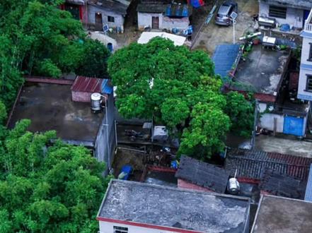 《在家看世界》可以看到自家院子的地图,高清版3d天眼地图#卫星地图 #3d高清卫星地图 #三维地图发现 #三维地图发现下载 #卫星地图下载教程