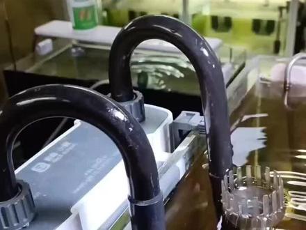 森森壁挂过滤器安装教程#森森壁挂过滤 #森森壁挂过滤器 #XBL #水族过滤器