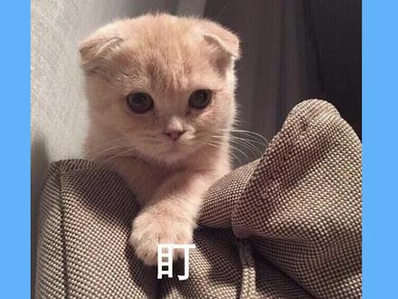 高考完但还未成年是一种什么体验?#高考后 #2022高考 #电竞 #暑假