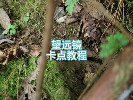 #小青米 找小青米蜂望远镜卡点教程。