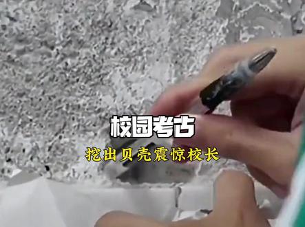 校园墙壁挖出贝壳,校长被吓得瑟瑟发抖#万万没想到