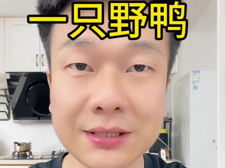 楼顶花坛里多出一窝鸭蛋,大家得知真相后连夜救援 #神奇动物在抖音#野生动物零距离 #鸟类实拍#野鸭