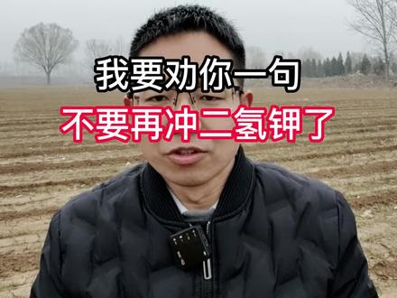 #高效叶面肥 #增产增收才是硬道理 #叶绿素叶面肥 #叶面肥水溶肥 #农业种植 农友们,不要再冲施磷酸二氢钾了,用它效果更好