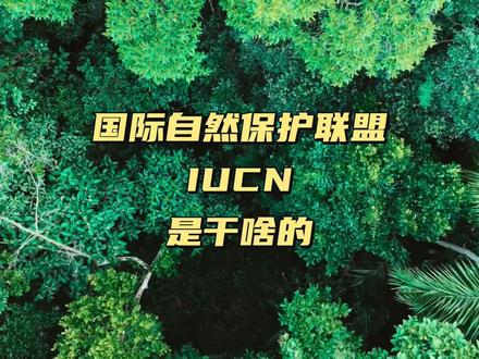 IUCN评估物种濒危等级的五个量化标准 #百科知识