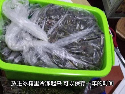 新鲜的蒿子如何保存?