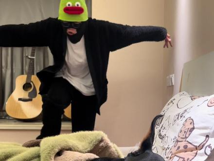 又到了快乐时光啦~ #精神抚慰犬 #杜宾 #萌宠出道计划