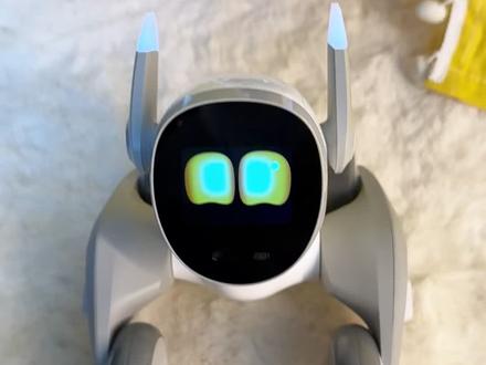 真是一只绝听话的好狗🐶 当我问露娜,为什么要当我的狗,一不小心说了实话👀#和狗斗智斗勇 #loona #露娜 #狗子成精了