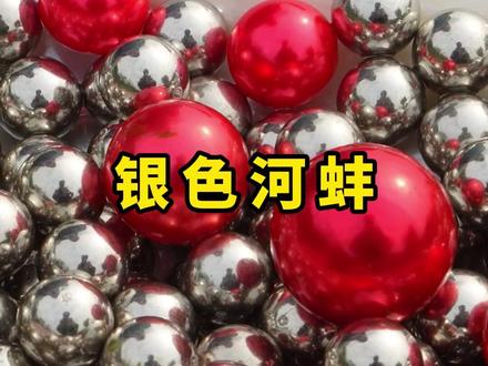 捡到超大的银色河蚌,究竟能够开出什么 #三农流量扶持计划 #河蚌 #解压