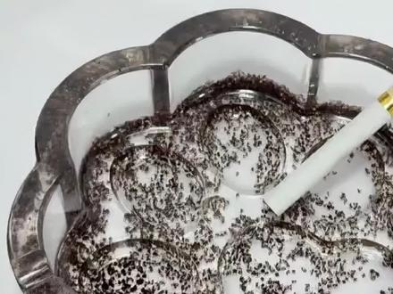 网络人物志第十五期:陈陈陈#人物志 #抽象 #活阎王