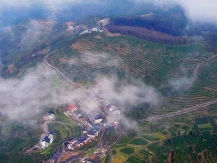 茶香到底怎么来的?5个层面帮你分析的清清楚楚!#茶生活 #爱茶人 #泡茶