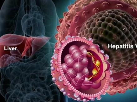 乙肝疫苗--避免了无数肝癌患者的发明【解读乙肝疫苗技术细节】