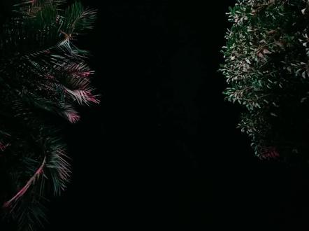 超级精彩的一段自述,8082太牛了#诡秘之主 #克莱恩笔下的人物