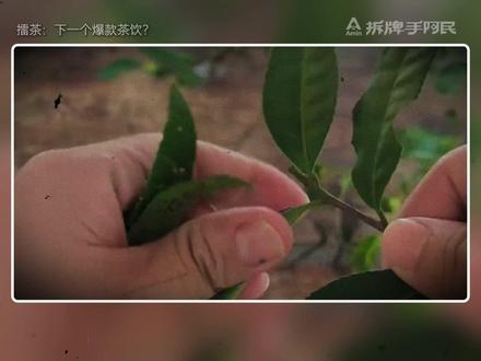 擂茶:下一个爆款茶饮? #很好奇擂茶到底什么味道 #擂茶 #擂茶美食 #特色美食 #茶饮