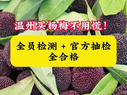 温州买杨梅不用慌!全员检测+官方抽检,全合格!