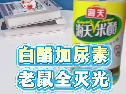 白醋加尿素,老鼠全灭光#老鼠#老鼠药#驱鼠 #灭鼠 #灭鼠方法