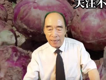 洋葱备播,洋葱种子技术处理,处理好,产量高,#洋葱#产量高