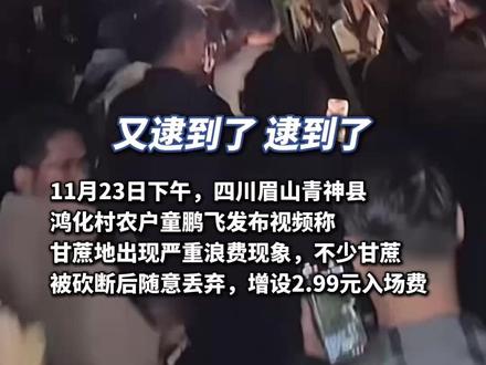 增设2.99元入场费后,眉山“偷甘蔗农场”仍爆满!周边的大学生主动当志愿者“抓人”,规则也升级了!被逮到要表演才艺(原创内容)