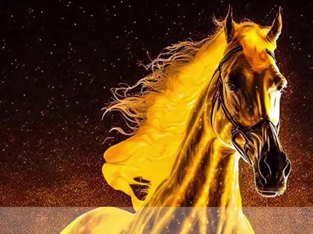 Seedance2.0六大核心龍头!