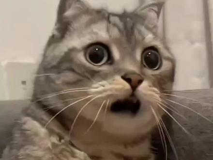 第一步:在edge、Google浏览器安装大学搜题酱插件
第二步:安装之后,打开需要刷课的网站
第三步:点击需要刷课的任务点,并点击进入到对应课程
第四步:点击页面旁边的搜题酱图标
第五步:把【视频助手】和【解题助手】都点开!一定要都点开才能自动刷课并答题 #大学生 #网课#大学网课学习通 #网课作业