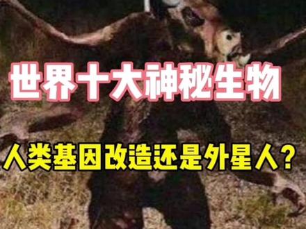 美国神秘生物 泽西恶魔,真的有这种生物存在?#未知生物 #未解之谜 @##外星文明