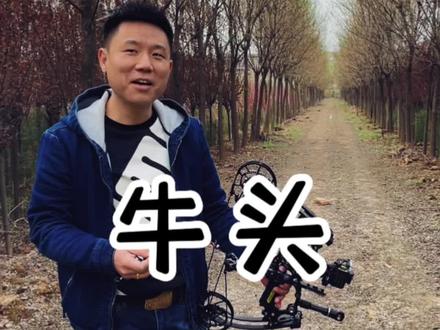 牛头五针瞄,香滴!#弓箭#射箭 #男人的快乐就是这么简单